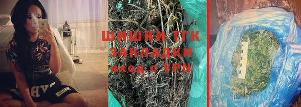 сатива Елабуга