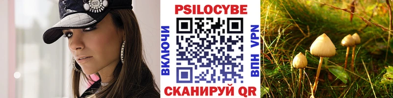 Галлюциногенные грибы мицелий магазин продажи наркотиков hydra сайт Сургут